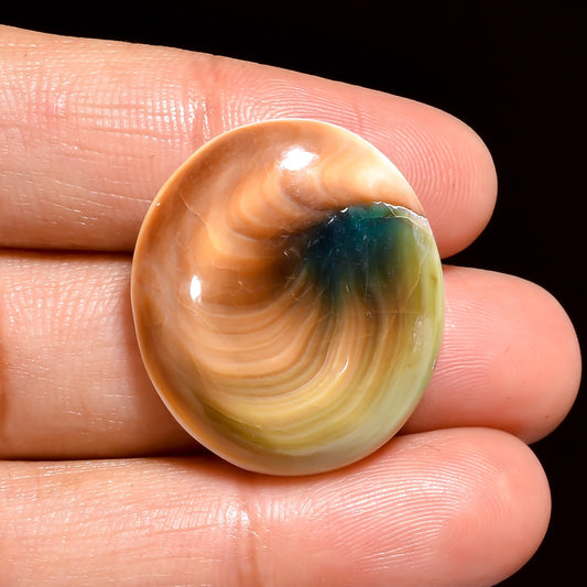 Shiva's Eye